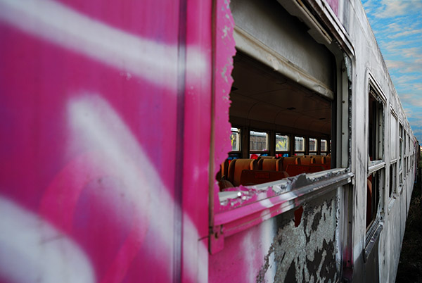 shooting raw 2 - two photos this day