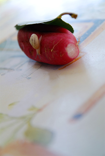 It is a long way from home...